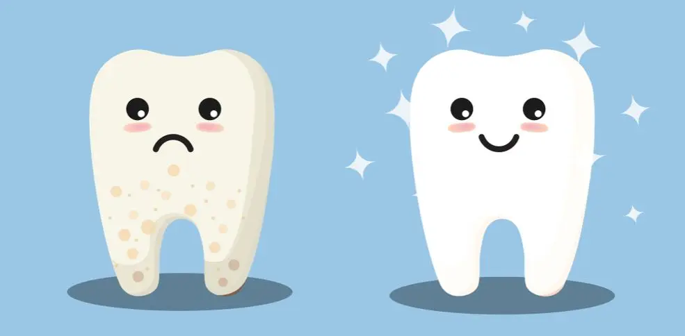 Hestanbul-Teeth-Dental-Healthy